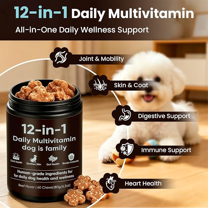 12-in-1 Daily Multivitamin for Dogs - with Folic Acid, Salmon Oil, Chondroitin & Natural Vitamins, Skin and Coat Healthy, Digestive & Boost Immunity, 60 Chew (Beef)