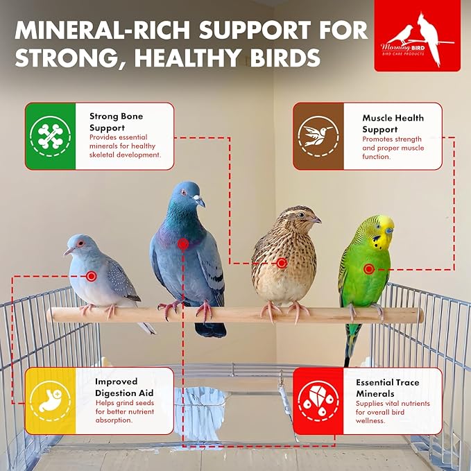 Morning Bird Pigeon Grit - Healthy & Nutritious Pigeon Food to Support Strong Muscles & Bones for Grit Eating Birds - Supports Digestion & Packed with Essential Minerals 18 lbs (2-Pack, 9 lbs Each)