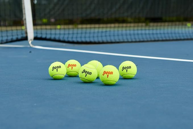 Penn Championship Tennis Balls - Regular Duty