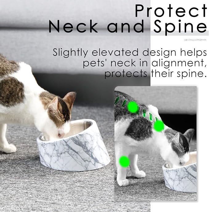 SuperDesign Mess Free 15° Slanted Bowl for Dogs and Cats, Tilted Angle Bulldog Bowl Dog Feeder, Non-Skid & Non-Spill, Easier to Reach Food L/2 Cup Marble Pattern