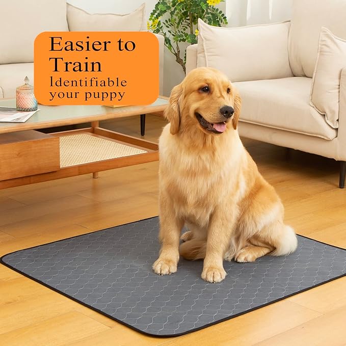 Bunlitent Washable Pee Pads for Dogs 48x60, 2 Pack, Extra Large Reusable Puppy Pads, Dog Training Pads with Quick Dry, Large Anti-Slip Dog Pee Pads, Whelping Pads, Potty Pad