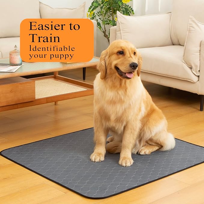 Bunlitent Washable Pee Pads 5 Pack, 24" x 36", Reusable Pee Pads for Dogs, Puppy Pads Washable with Quick Dry, Anti-Slip Dog Pee Pads, Whelping Pads, Dog Carpet