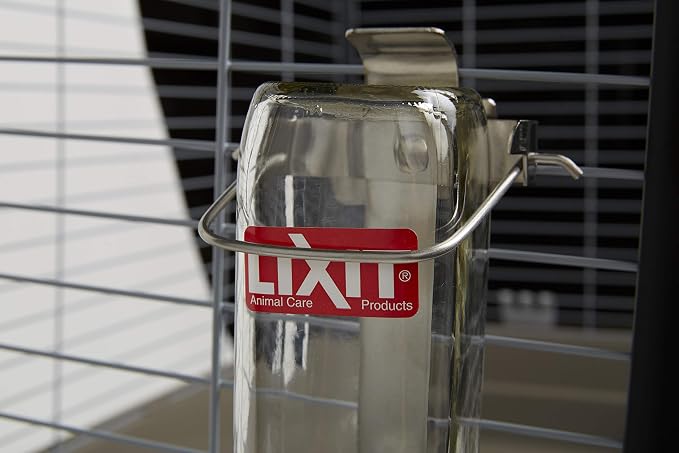 Lixit Pet Glass Water Bottle, 32-Ounce