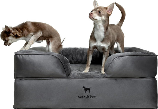 NOAH & PAW Dog Bed, 28x23x11 Inch, Orthopedic Dog Beds for Medium Size Pets, Eggshell Memory Foam Infused with Cooling Gel, Inner Cover, Water Resistant, Machine Washable (Velvet Sofa Collection)