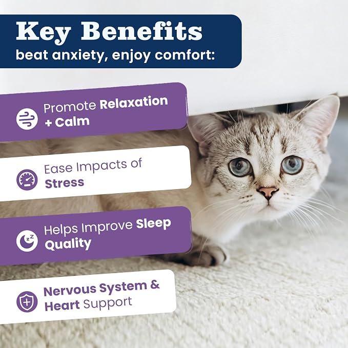 Calming Treats for Cats, 500 Crunchy Creamy Calm Chews Relieve Anxiety, Stress & Reduce Aggression with Melatonin & GABA All Cats Promotes Relaxation for Travel, Vet Visits, Separation -Chicken Flavor