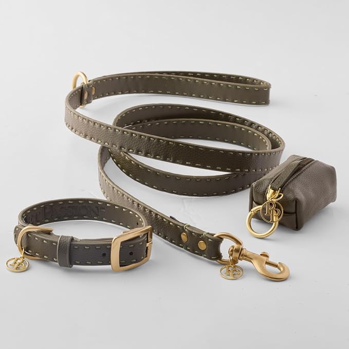 Rein - The Recycled Vegan Leather Pouch Durable Heavy Duty Bag Holder, Leash Attachment Made With Sustainable Materials, Custom Hardware for Small, Medium & Large Dogs, Chestnut Heather