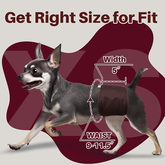 Pet Soft Dog Belly Bands Spaxce XS + Dog Suspenders 2 Pieces XS