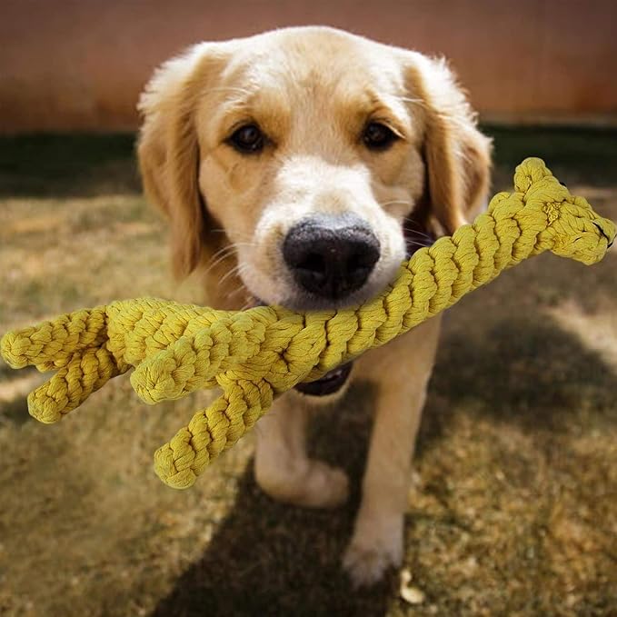 Dog Pet Puppy Chew Toys for Teething Boredom Dogs Rope Ball Knot Training Teeth Dogs Treats Toys for Small Middle Dog (Giraffe)