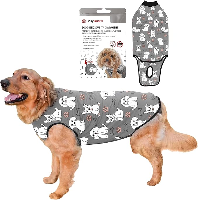 BellyGuard Dog Surgery Recovery Suit, Post-Op Dog Recovery Suit for Female Spay & Male Neuter, Comfy Onesie for Pets, Surgical Body Cover for Canine Healing Support