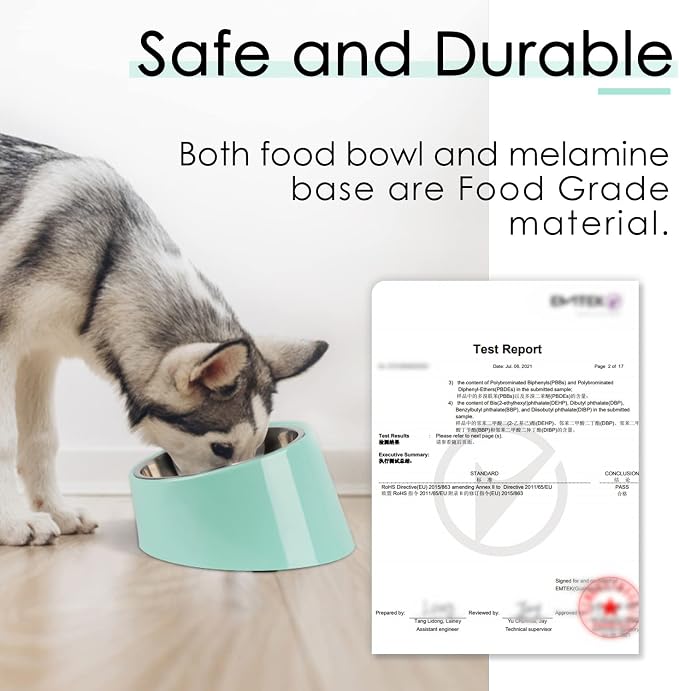 SuperDesign Mess Free 15° Slanted Bowl for Dogs and Cats, Tilted Angle Bulldog Bowl Dog Feeder, Non-Skid & Non-Spill, Easier to Reach Food S/0.5 Cup Teal