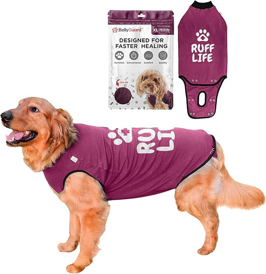 BellyGuard Dog Surgery Recovery Suit, Post-Op Dog Recovery Suit for Female Spay & Male Neuter, Comfy Onesie for Pets, Surgical Body Cover for Canine Healing Support