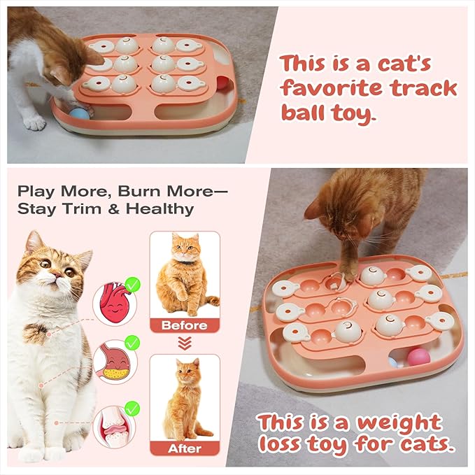 KADTC Large Size 2-in-1 Cat Puzzle Feeder Toy & Track Balls for Indoor Cats | Treat puzzle + 2 track balls, 2 levels, no loose parts deliver longer, advanced mental stimulation and active energy burn.