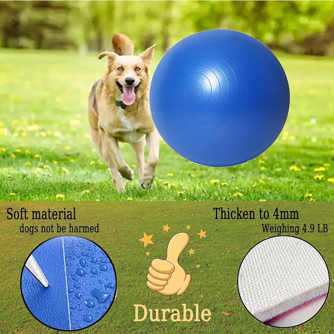 mwater Dogs Herding Ball Large 25 Inch