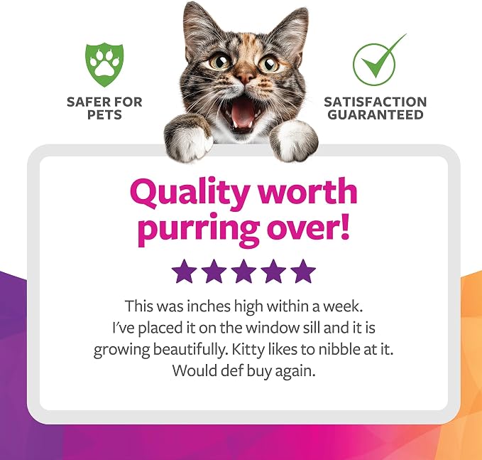 SmartyKat Sweet Greens Organic Oat Grass All-in-One Cat Grass Grow Kit, Easy-to-Grow to Support Digestion & Hairball Reduction