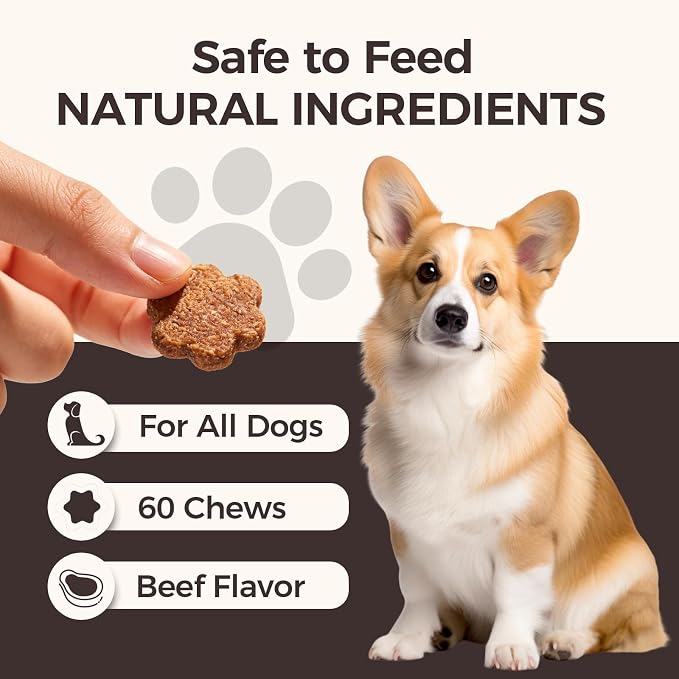 DM-01 Daily Multivitamin for Dogs, Multivitamin Itch Relief Chews Contain Glucosamine Probiotics Salmon Oil for Skin Coat, Gut & Immune Supports, 60 Chews (1)