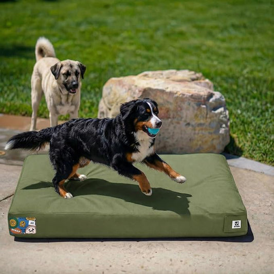 Sytopia 47 Inch Canvas Outdoor Dog Bed for XXL Dogs, Durable Dog Bed with Waterproof Machine Washable Removable Cover, Indoor Patio Pet Pad for Crate, Green