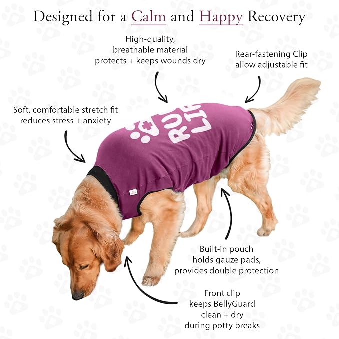 BellyGuard Dog Surgery Recovery Suit, Post-Op Dog Recovery Suit for Female Spay & Male Neuter, Comfy Onesie for Pets, Surgical Body Cover for Canine Healing Support