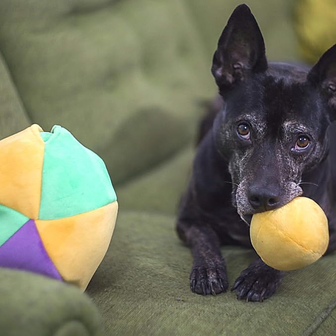 Midlee Hide a Ball Dog Puzzle Toy with 8 Plush Squeaker Balls (Large)
