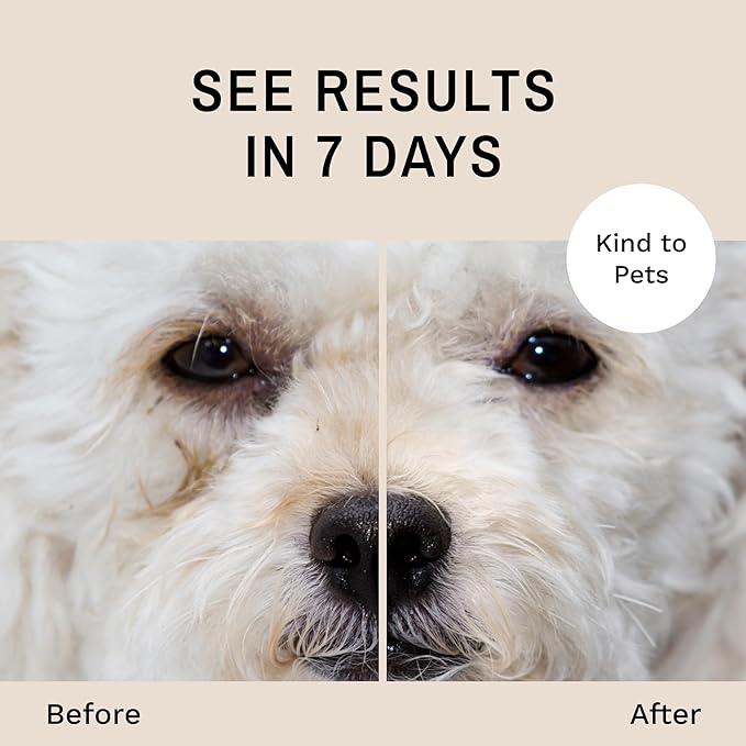 Eye Envy Dog Tear Stain Remover Starter Kit with ProPowder Brush | Stain Solution, Applicator Pads, Stain Powder and Small Applicator Brush | Lasts 30-45 Days