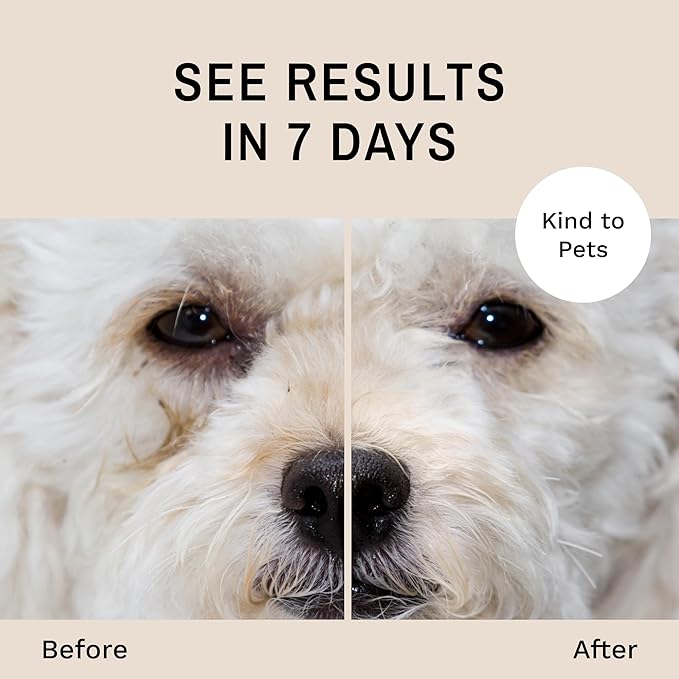 Eye Envy Dog Tear Stain Remover Starter Kit. 100% Natural, Safe. Contains: Stain Solution, Applicator Pads, and Stain Powder. Tear Stain Treatment Kit. Lasts 30-45 Days. Made in USA