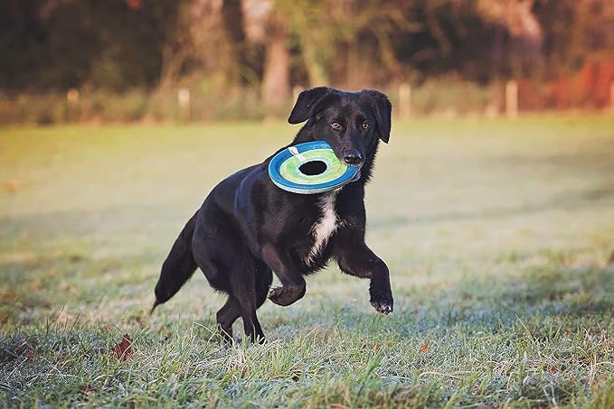 Chuckit! 2 Pack of Max Glow Zipflight Dog Toys, Medium 8.5-Inch2
