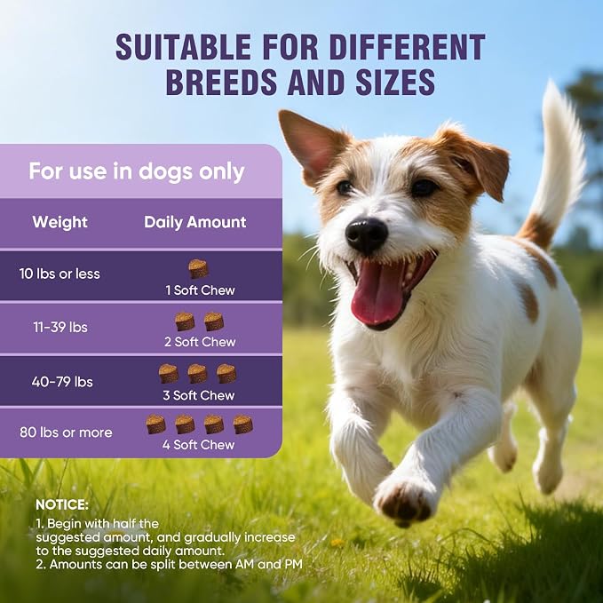 Dog Allergy Chews 200ct - Dog Allergy and Itching Skin Relief Anti Itch Aller Immune Bites for Dogs licking Paws Treatment Relief Itchy Chew Probiotics Vitamins for Skin and Coat Allergies - Chicken