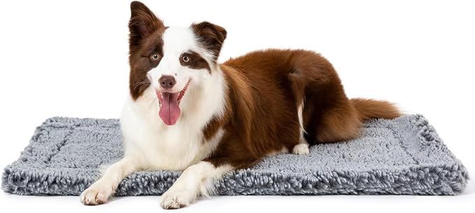 PELZIN Stoutwool Indestructible Dog Bed - Fluffy Chew Proof Dog Crate Pad - Tough Kennel Pad for Aggressive Chewers - Washable, Ideal for Large Breeds & Fits 36-Inch Crate - 35"x22", Charcoal