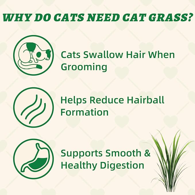 Wellix Cat Grass Treats with Catnip & Salmon - Healthy Cat Treats for Indoor Cats - Hairball Control & Digestive Support - Kittens Training Snacks for Teeth Cleaning 13.05oz