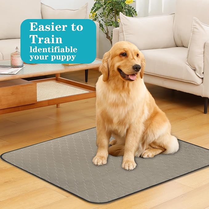 Bunlitent Washable Pee Pads for Dogs 41" x 41", 5 Pack, Reusable Puppy Pee Pads Washable, Dog Training Pads with Quick Dry, Large Anti-Slip Whelping Pad for Pet, Playpen, Incontinence, Housebreaking