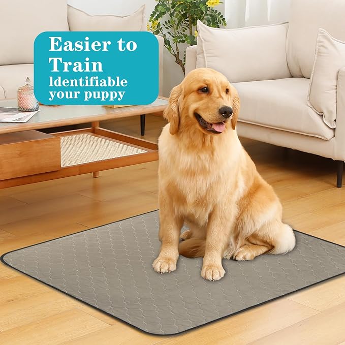 Bunlitent Washable Pee Pads for Dogs 24" x 36", 5 Pack, Reusable Puppy Pee Pads Washable, Dog Training Pads with Quick Dry, Large Anti-Slip Whelping Pad for Pet, Playpen, Incontinence, Housebreaking