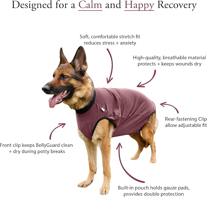 BellyGuard Dog Surgery Recovery Suit, Post-Op Dog Recovery Suit for Female Spay & Male Neuter, Comfy Onesie for Pets, Surgical Body Cover for Canine Healing Support