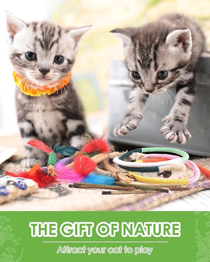 TINDTOP Cat Chew Toys, Silvervine Chew Sticks with 2 Pack Chew Ropes | for Kittens Teeth Cleaning, Increase Appetite, Aggressive Chewers Cat Dental Toy