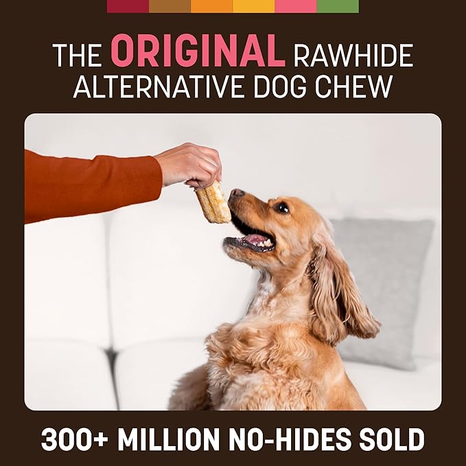 Earth Animal No Hide Chews - Long Lasting Rawhide Free Small Dog Chews Rolls, Salmon - 2 Count