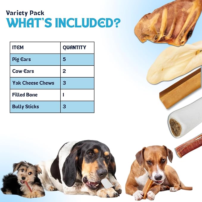 Dog Treat Variety Box - Variety Box Consists of 5 Pig Ears, 3 Yak Cheese Chews, 3 Bully Sticks, 2 Cow Ears, and 1 Dog Bone - Long Last Dog Chew Treats - All Treats are 100% Natural