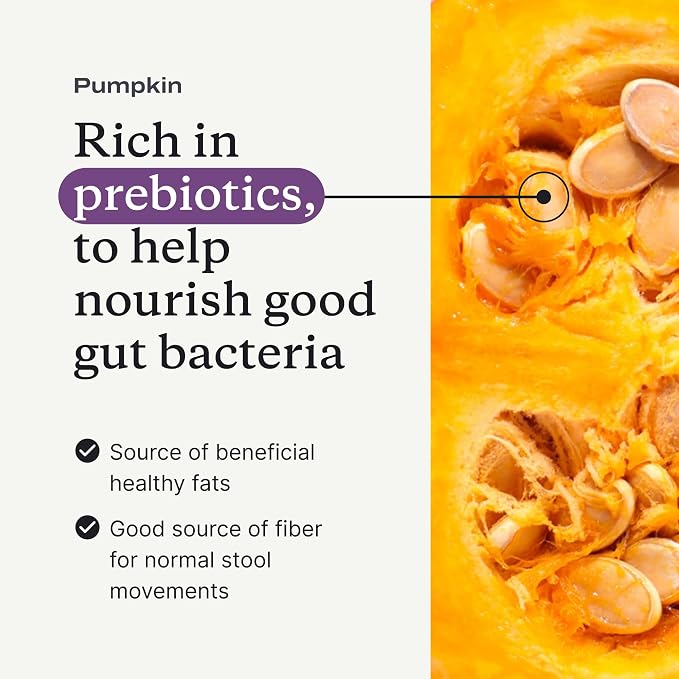 PetLab Co. Pumpkin Fiber for Dogs – Dog Probiotics Powder – High Fiber Supplement with Apple, Psyllium & Mushrooms – Supports Digestion, Gut Health & Regular Bowel Movements – 30 Scoops