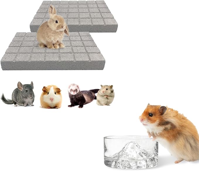 BNOSDM Rabbit Grinding Claw Pads Natural Hamster Lava Stone and Transparent Hamster Food and Water Bowl Mountain Fuji Style Glass for Hamsters Gerbils Mice Rats or Other Similar-Sized Pets