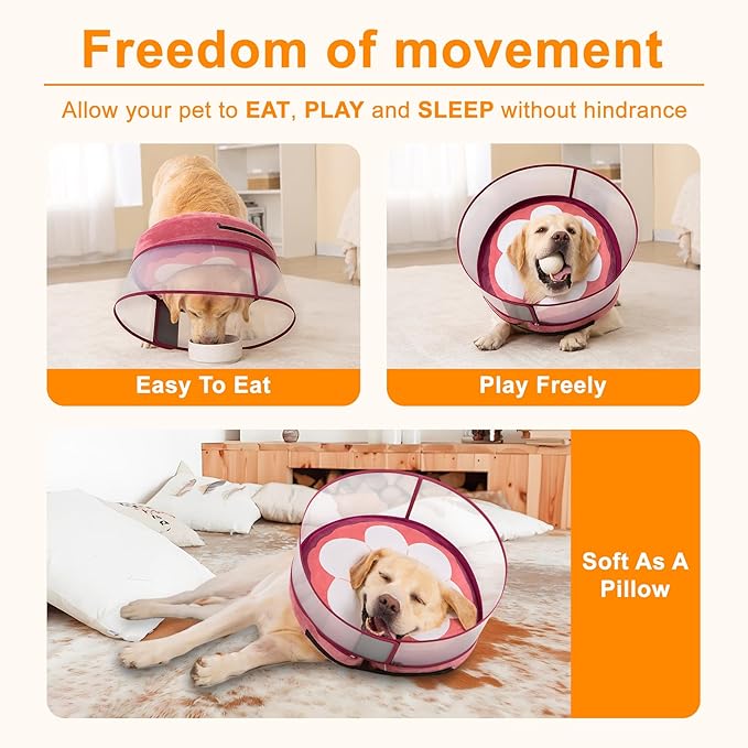 Inflatable Dog Cone Collar for Large Medium Small Dogs, Soft Dog Donut Collar Adjustable Recovery Cone for Pets After Surgery, Extra Enhanced Anti-Licking Guard Shield (Mangosteen, Medium)