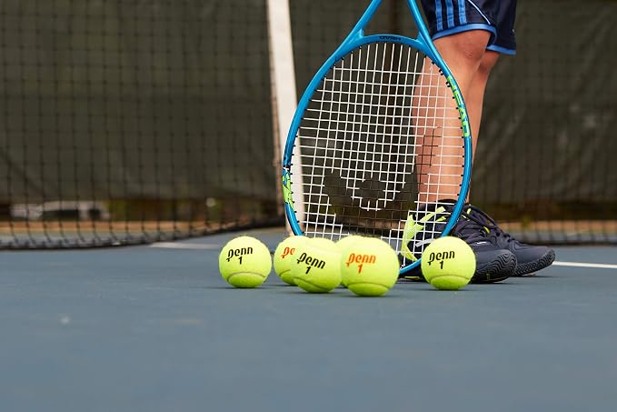 Penn Championship Tennis Balls - Regular Duty