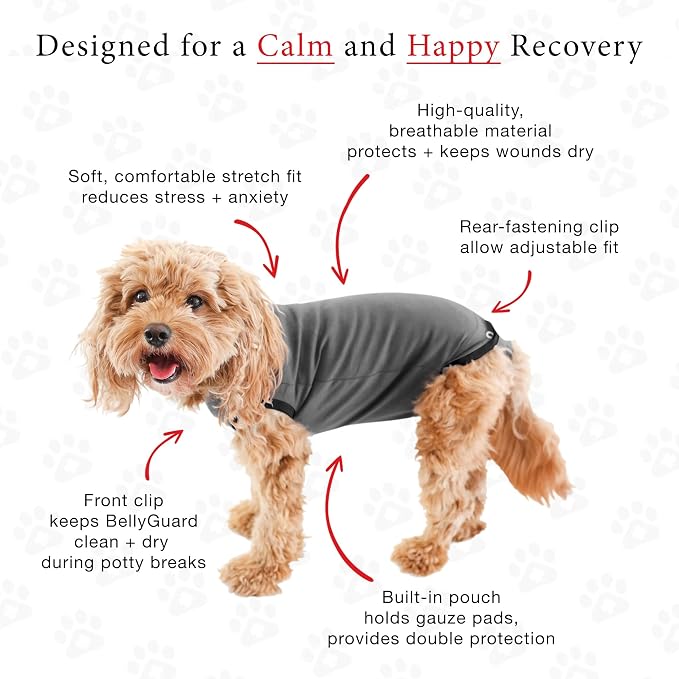 BellyGuard Dog Surgery Recovery Suit, Post-Op Dog Recovery Suit for Female Spay & Male Neuter, Comfy Onesie for Pets, Surgical Body Cover for Canine Healing Support