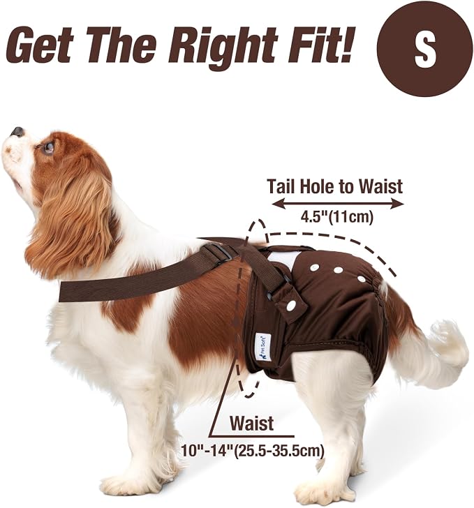 Pet Soft Dog Diapers Female with Suspenders, 3 Pack Reusable Female Dog Diapers for Heat, Dog Period Panties for Doggie in Cycle(Small, Bear Brown)