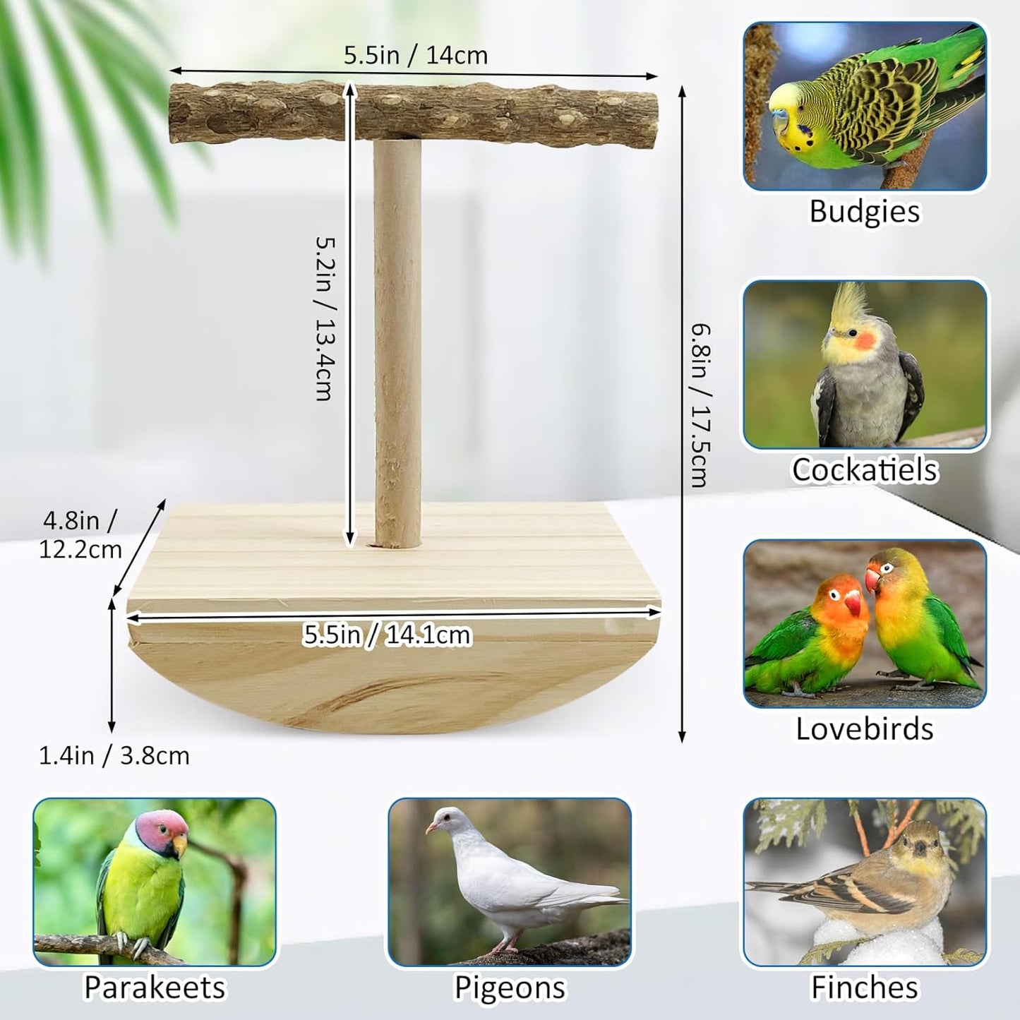 kathson Bird Training Stand, Parakeet Playground Bird Perch Stand Portable Tabletop Bird Perch Parrot Stand perches T Shaped Bird Play Stand for Parakeets Conures Lovebirds Cockatiels
