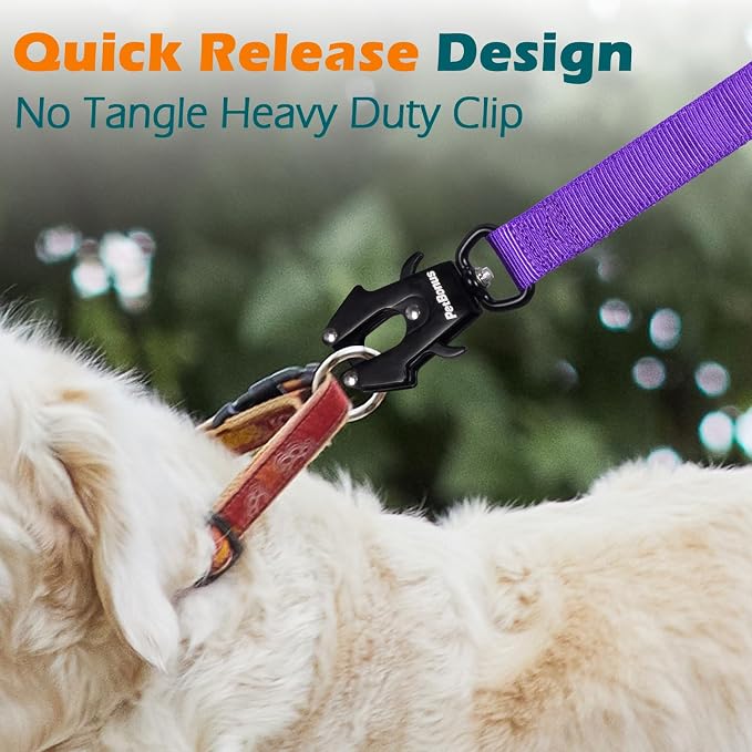 PetBonus Heavy Duty Tactical Dog Leash and 2-Pack Large Silicone Collapsible Dog Bowls