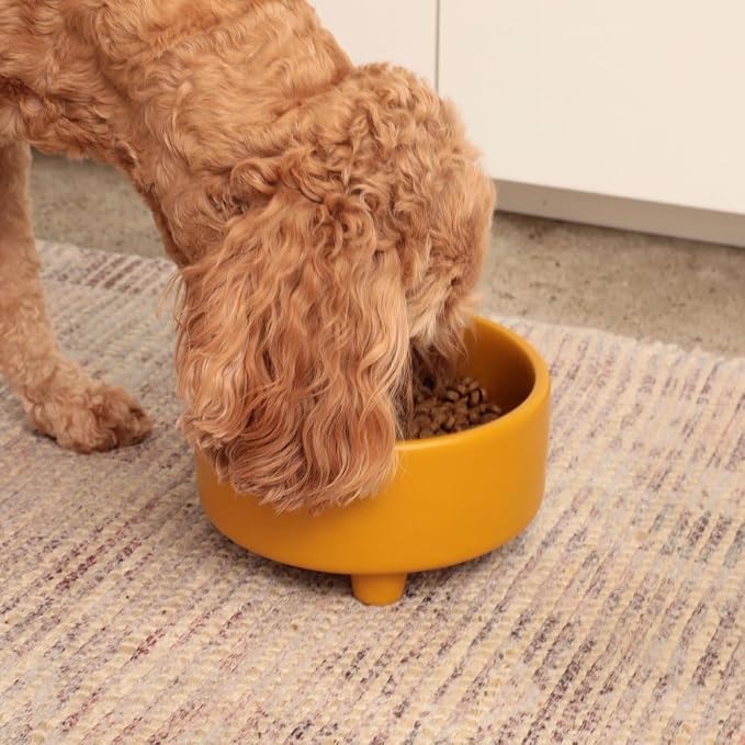 Waggo Uplift Ceramic Dog Bowl for Small Medium and Large Breeds - Heavyweight and Durable Pet Food and Water Dish Crock, Dishwasher Safe, Modern, Elevated Feeder (Olive, Medium)