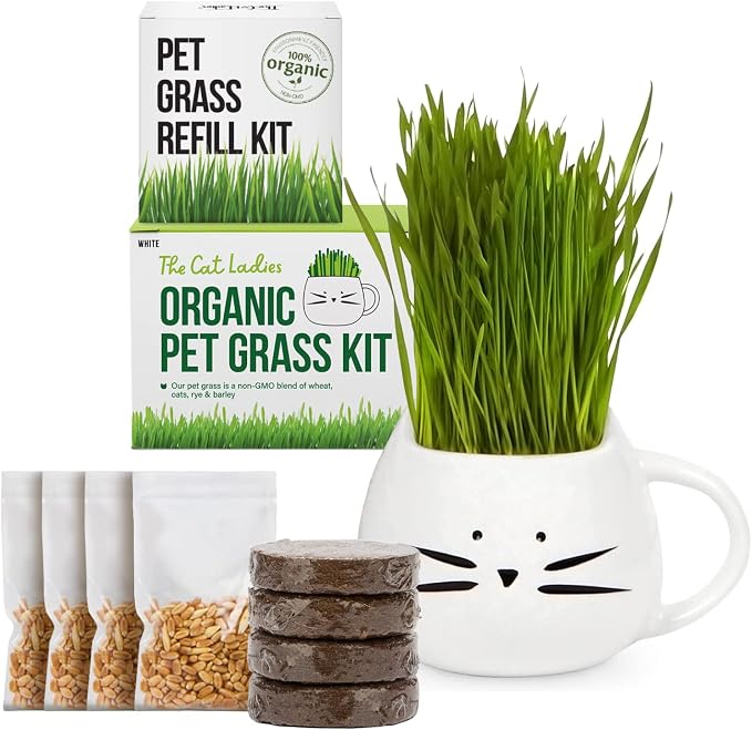 TCL White Cat Mug Cat Grass Kit and Refill