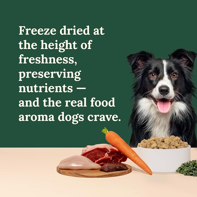 360 Pet Nutrition Freeze-Dried Raw Dog Food – Multi-Protein with Beef, Chicken, Fish & Organs, High Protein, Omega-3s, Fruits, Veggies & Superfoods, Grain-Free, No Filler 4 x 16 oz Made in USA