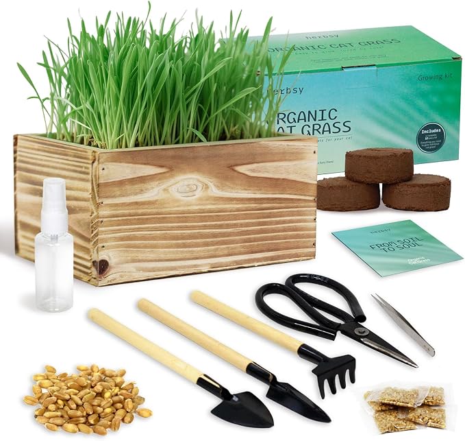 Cat Grass for Indoor Cats – x5 Seed Packets | Cat Grass Seeds with Wooden Planter, Soil & Mini Gardening Tools for Nipping– Pet Wheatgrass Grass, Gifts for Cat Lovers
