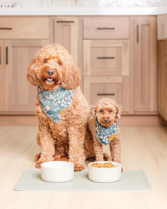 Remy+Roo Sage Silicone Dog Food Mat for Pet Bowl | 23.6" x 15.7" | 100% Waterproof | Non-Slip | Dishwasher Safe