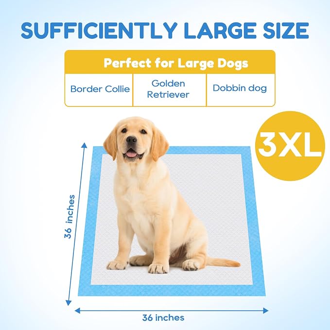 JollyMate Dog Pee Pads Extra Large 36"x36",100 Pack 3X-Large Super Absorbent Pet Training Pads with Adhesive Tabs, 6 Layers Thick Leak-Proof Potty Pads for Dogs and Puppies