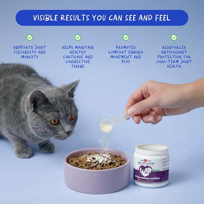 Hip & Joint Powder for Cats - Glucosamine, MSM & Green Lipped Mussel | With Glucosamine, Chondroitin, Green Lipped Mussel, MSM & Vitamin E for joint health & mobility. 4.23oz/120g.