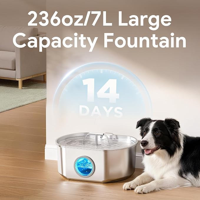 Cat Water Fountain Stainless Steel - Pet Drinking Fountain for Cats Indoor - 7L/236oz Automatic Water Dispenser with Watering Level Window (4 Filters)